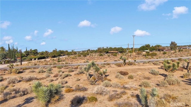 875 Locust Rd, Pinon Hills, CA 92372 - photo 10