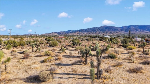 875 Locust Rd, Pinon Hills, CA 92372 - photo 9