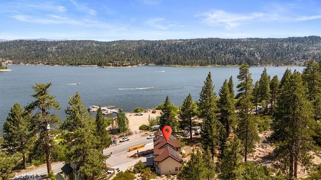 38512 N Shore Dr, Fawnskin, CA 92333 - photo 3