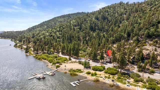 38512 N Shore Dr, Fawnskin, CA 92333 - photo 4