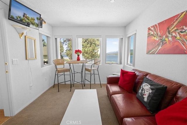 38512 N Shore Dr, Fawnskin, CA 92333 - photo 28