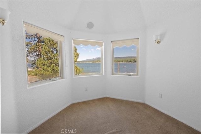 38512 N Shore Dr, Fawnskin, CA 92333 - photo 34