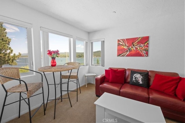 38512 N Shore Dr, Fawnskin, CA 92333 - photo 27