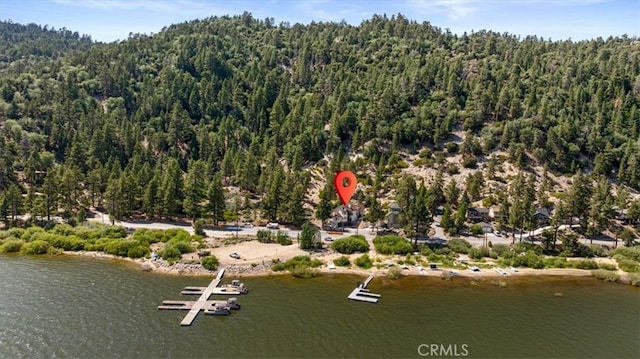 38512 N Shore Dr, Fawnskin, CA 92333 - photo 5