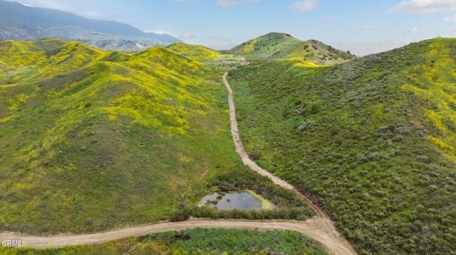 0 Dickenson Rd, Santa Paula, CA 93060 - photo 28