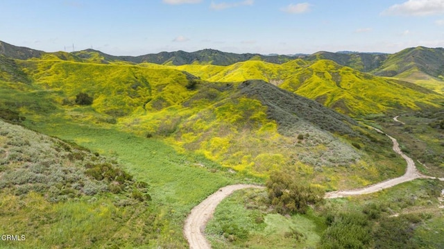 0 Dickenson Rd, Santa Paula, CA 93060 - photo 6