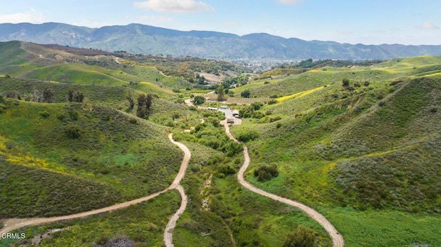 0 Dickenson Rd, Santa Paula, CA 93060 - photo 3