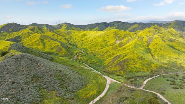 0 Dickenson Rd, Santa Paula, CA 93060 - photo 21