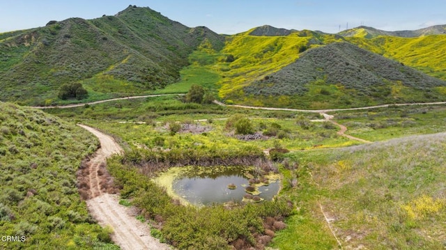 0 Dickenson Rd, Santa Paula, CA 93060 - photo 9
