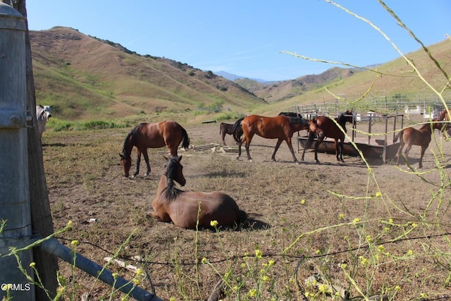 0 Dickenson Rd, Santa Paula, CA 93060 - photo 16