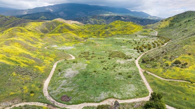 0 Dickenson Rd, Santa Paula, CA 93060 - photo 10