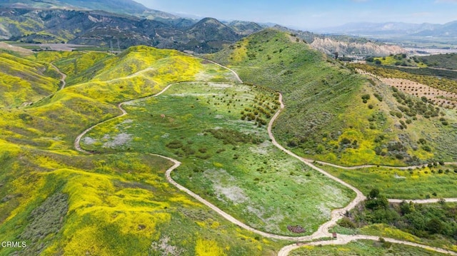 0 Dickenson Rd, Santa Paula, CA 93060 - photo 4