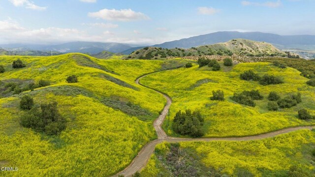 0 Dickenson Rd, Santa Paula, CA 93060 - photo 26