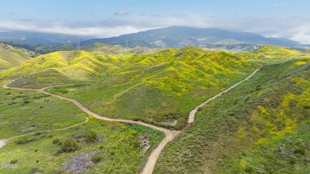 0 Dickenson Rd, Santa Paula, CA 93060 - photo 7