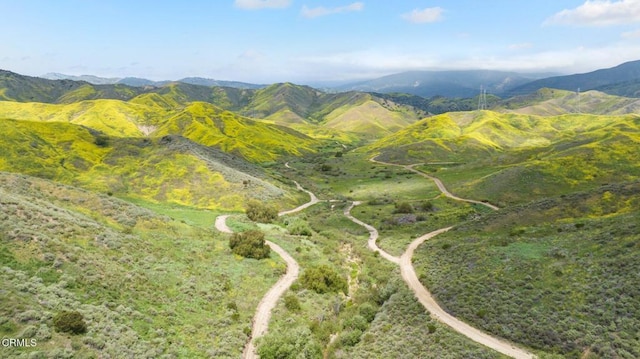 0 Dickenson Rd, Santa Paula, CA 93060 - photo 19