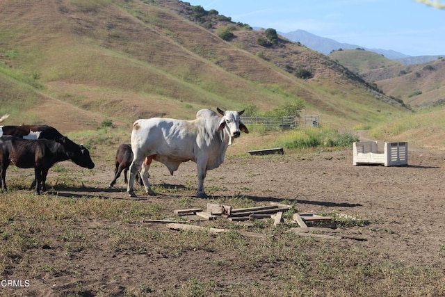 0 Dickenson Rd, Santa Paula, CA 93060 - photo 15