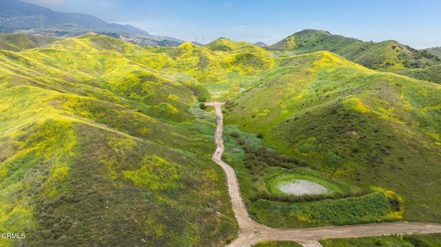 0 Dickenson Rd, Santa Paula, CA 93060 - photo 20
