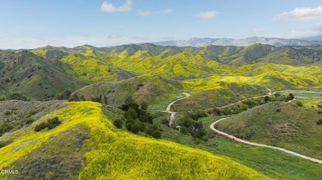 0 Dickenson Rd, Santa Paula, CA 93060 - photo 27