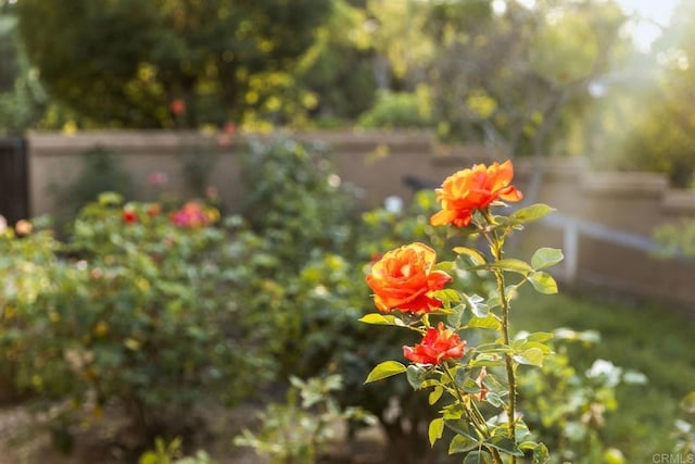 30663 Via Maria Elena, Bonsall, CA 92003 - photo 55