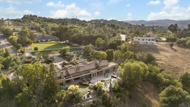 30663 Via Maria Elena, Bonsall, CA 92003 - photo 61