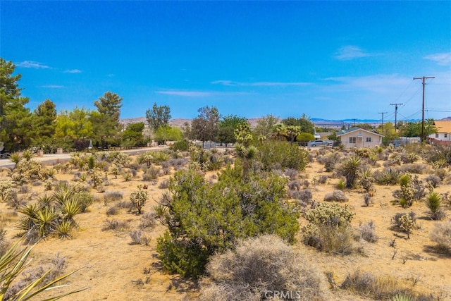 1234 Ivanhoe Dr, Yucca Valley, CA 92284 - photo 5