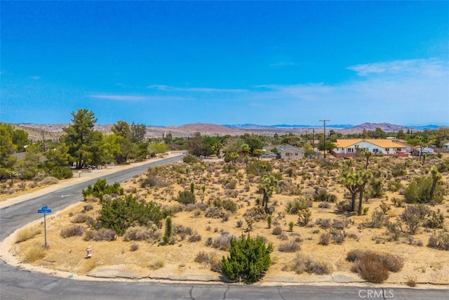 1234 Ivanhoe Dr, Yucca Valley, CA 92284 - photo 1