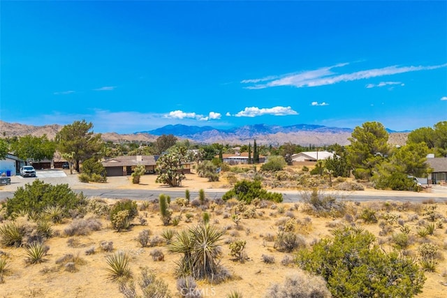 1234 Ivanhoe Dr, Yucca Valley, CA 92284 - photo 13