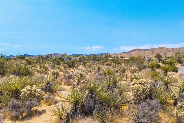 1234 Ivanhoe Dr, Yucca Valley, CA 92284 - photo 2