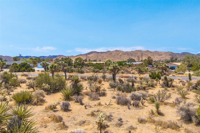 1234 Ivanhoe Dr, Yucca Valley, CA 92284 - photo 15