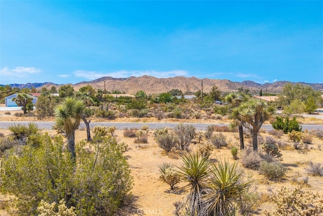 1234 Ivanhoe Dr, Yucca Valley, CA 92284 - photo 14