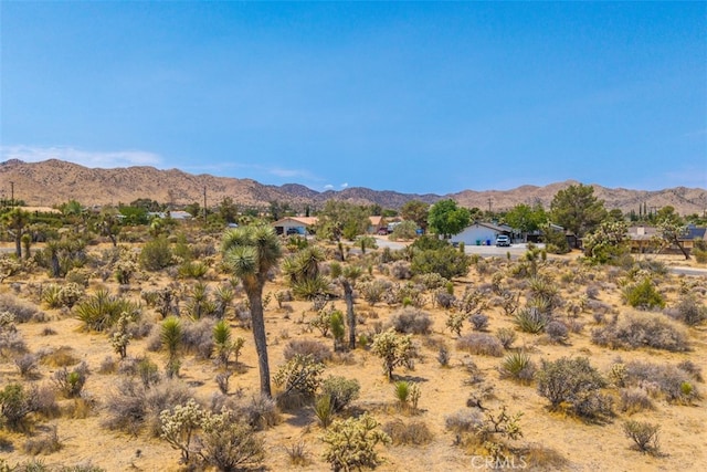 1234 Ivanhoe Dr, Yucca Valley, CA 92284 - photo 16