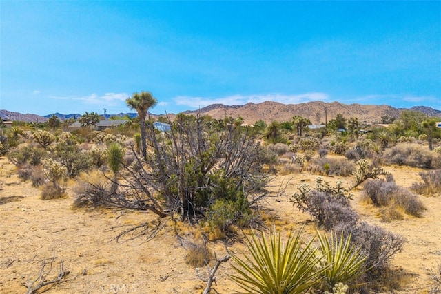 1234 Ivanhoe Dr, Yucca Valley, CA 92284 - photo 17
