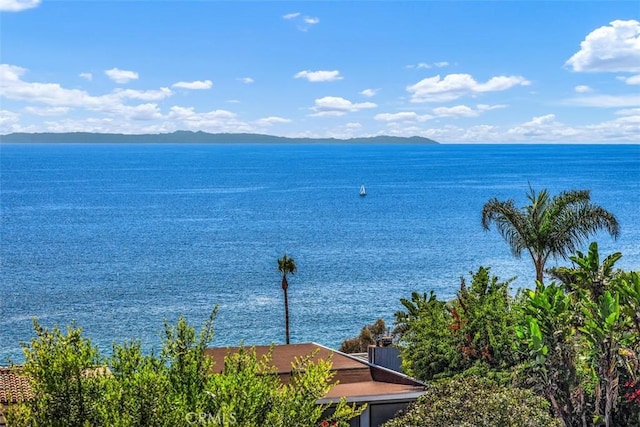 32091 Virginia Way, Laguna Beach, CA 92651 - photo 52