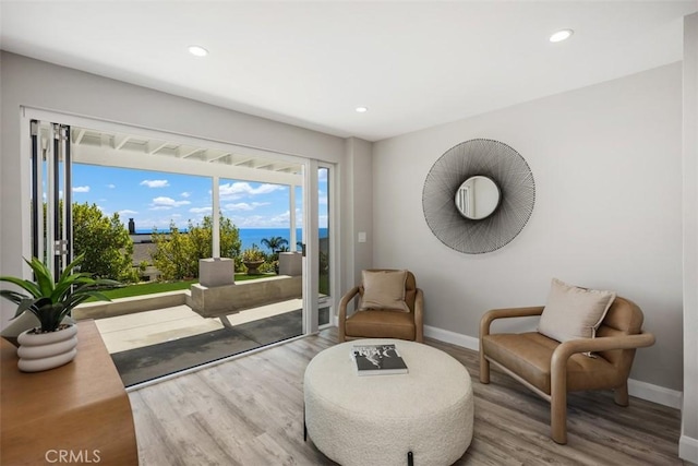32091 Virginia Way, Laguna Beach, CA 92651 - photo 47