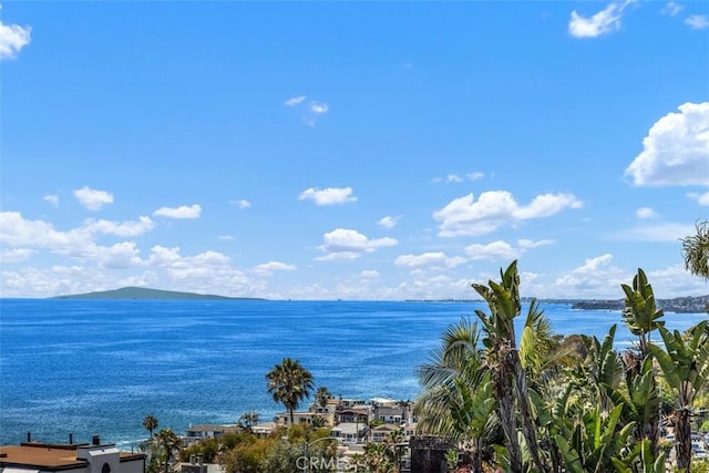 32091 Virginia Way, Laguna Beach, CA 92651 - photo 21