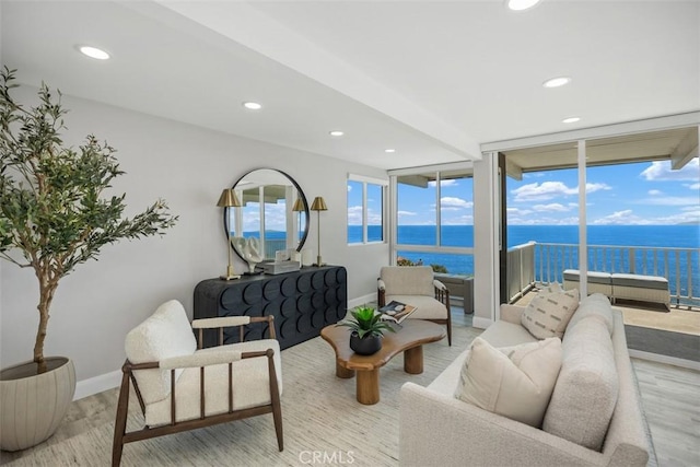 32091 Virginia Way, Laguna Beach, CA 92651 - photo 31