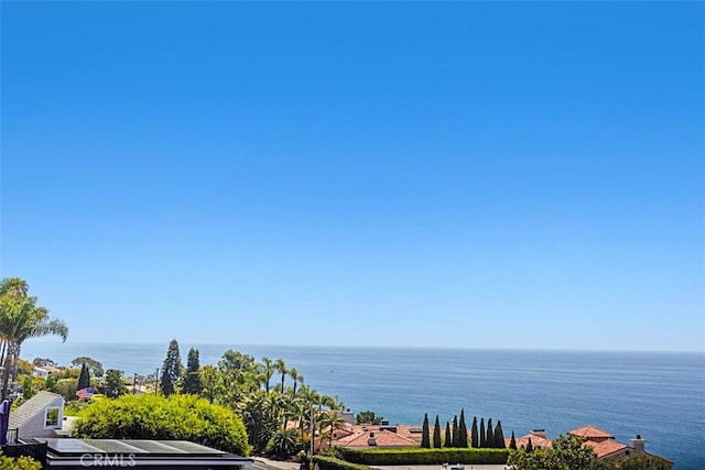 32091 Virginia Way, Laguna Beach, CA 92651 - photo 60