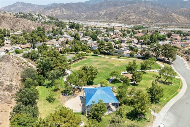 14825 Begonias Ln, Canyon Country, CA 91387 - photo 41