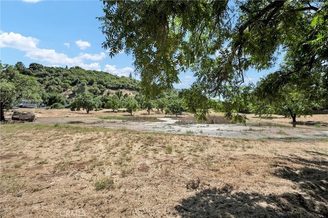 10305 Hok Has Ha Ln, Kelseyville, CA 95451 - photo 24