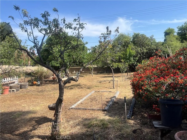 6087 Carol Ave, Rancho Cucamonga, CA 91701 - photo 66