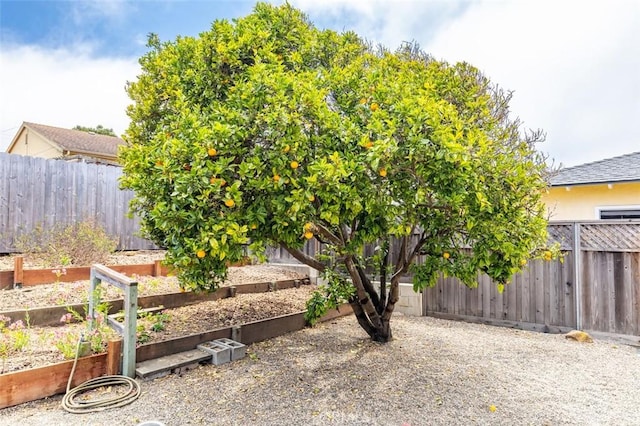 757 Lilac Dr, Los Osos, CA 93402 - photo 28