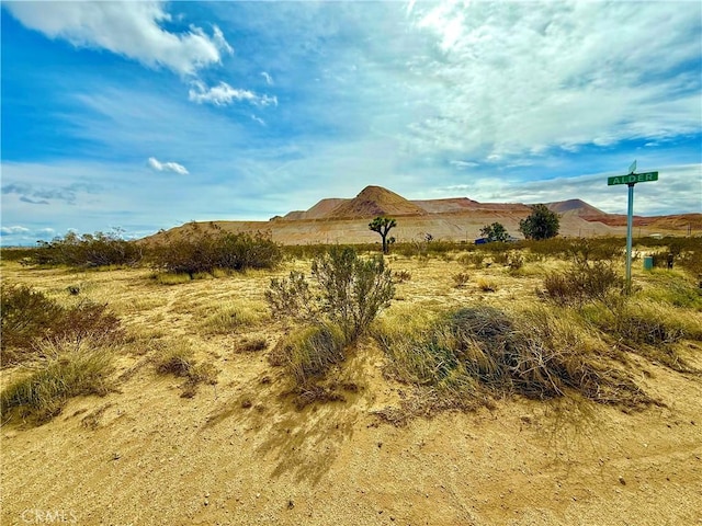 12220 Magazine Gap Dr, Mojave, CA 93501 - photo 5