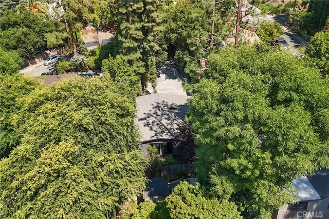 6305 Lomitas Dr, Los Angeles, CA 90042 - photo 24