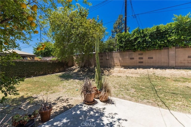 7701 Ducor Ave, West Hills, CA 91304 - photo 30