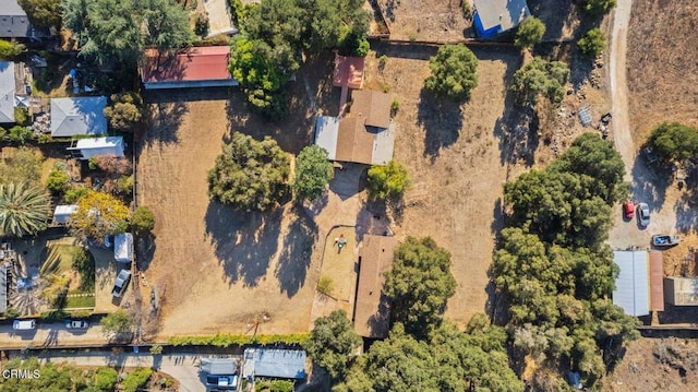 1169 Tico Rd, Ojai, CA 93023 - photo 49