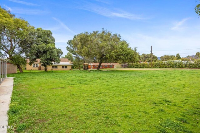 1169 Tico Rd, Ojai, CA 93023 - photo 10