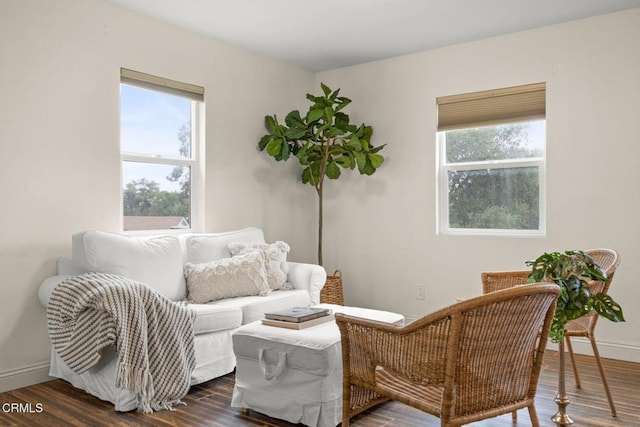 1169 Tico Rd, Ojai, CA 93023 - photo 28