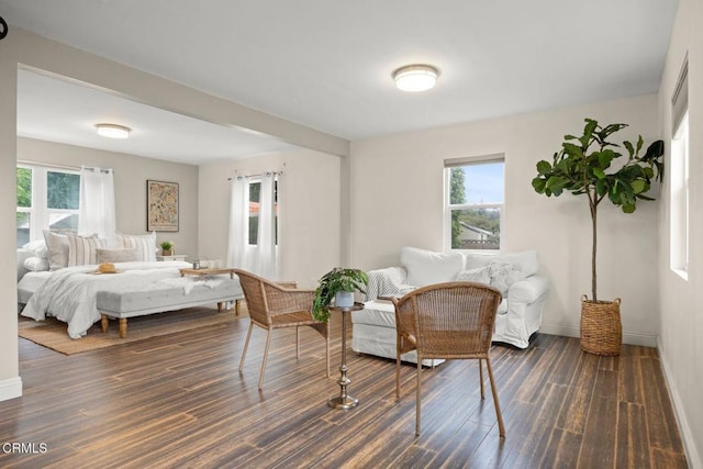 1169 Tico Rd, Ojai, CA 93023 - photo 27