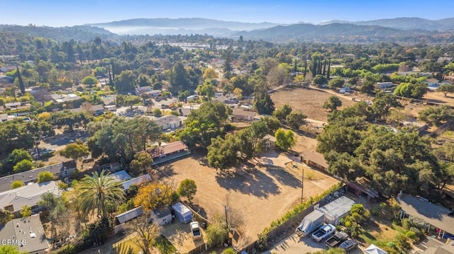 1169 Tico Rd, Ojai, CA 93023 - photo 51
