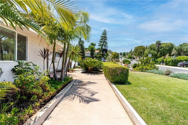 3822 S Cloverdale Ave, Los Angeles, CA 90008 - photo 2